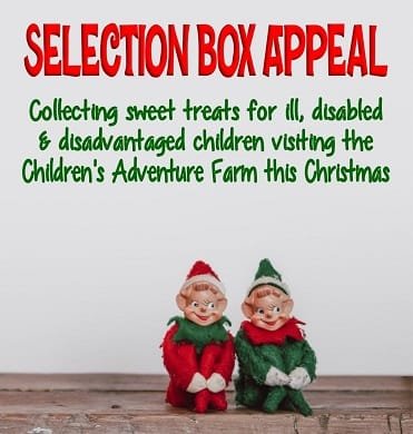 Christmas Selection Box Appeal