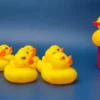 Live From Lymm Duck Race<br/>With Lymm & District Round Table