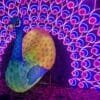 Land of Lights Opens at Gulliver’s World