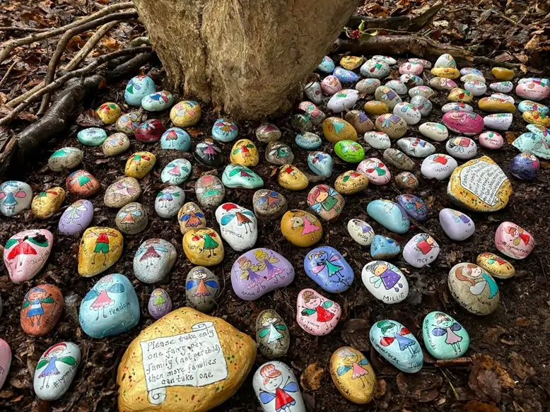 Lymm Rocks Fairies MIX56