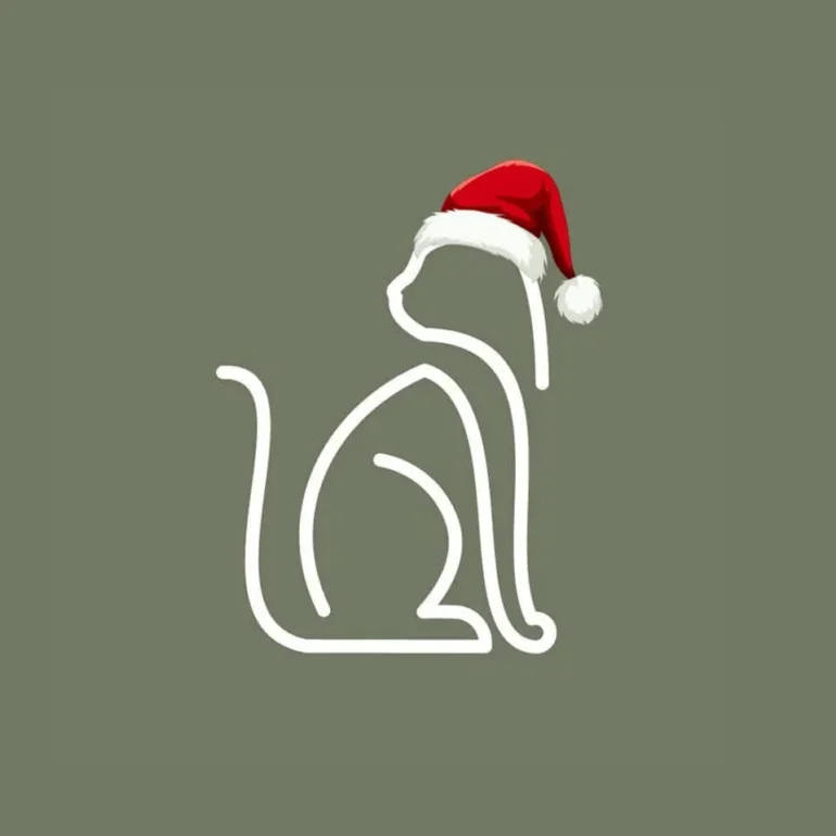 Ellie Lee Manchester Cat Clinic MIX56