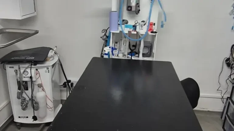 Warrington Animal Welfare MIX56