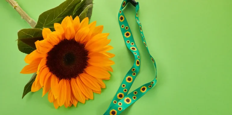 dr rosie health update disabilities awareness week hidden